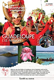 Guadeloupe, l'Île Papillon Guadeloupe, l'Île Papillon