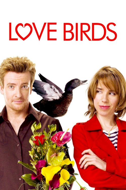 Love Birds Love Birds