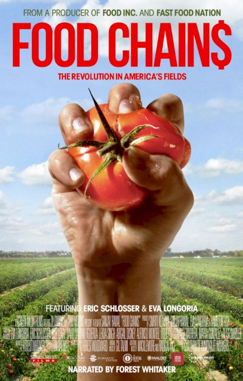Food Chains Food Chains