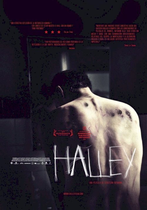 Halley Halley