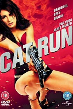 Cat Run Cat Run