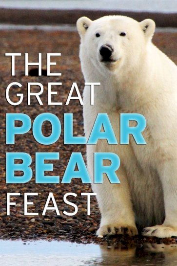 The Great Polar Bear Feast The Great Polar Bear Feast