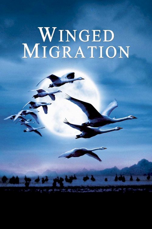 Winged Migration Winged Migration