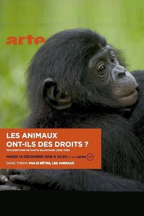 Les animaux ont ils des droits? Les animaux ont ils des droits?