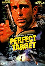 Perfect Target Perfect Target