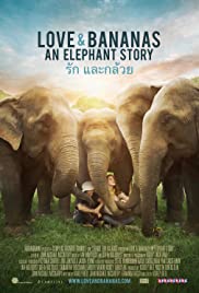 Love & Bananas: An Elephant Story Love & Bananas: An Elephant Story