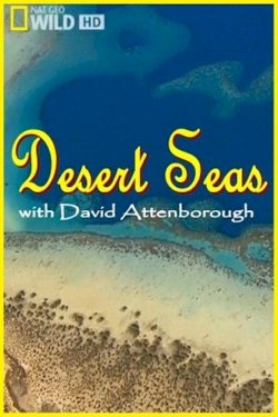 Desert Seas