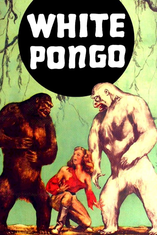 White Pongo White Pongo