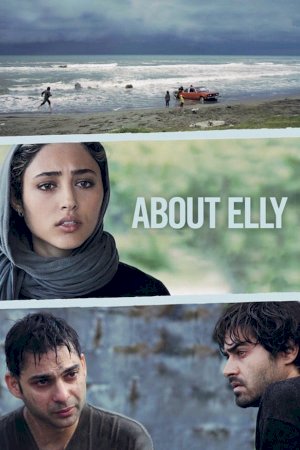 About Elly About Elly