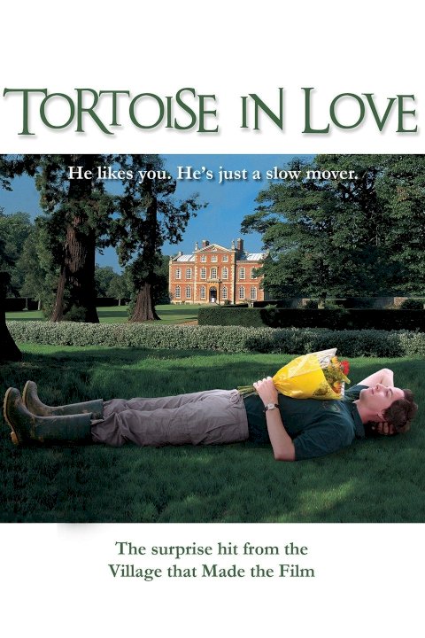 Tortoise in Love Tortoise in Love