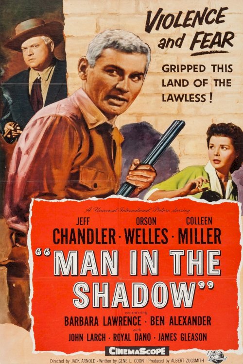 Man in the Shadow Man in the Shadow