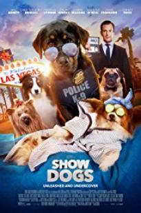 Show Dogs Show Dogs