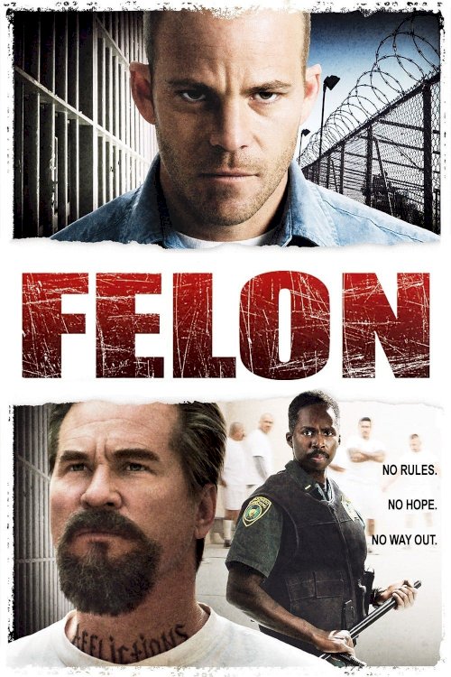 Felon Felon