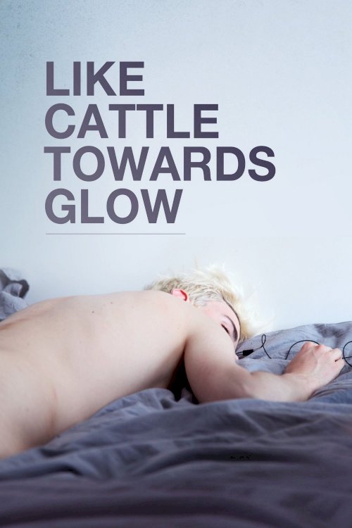 Like Cattle Towards Glow Like Cattle Towards Glow