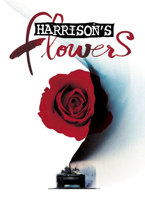 Harrison's Flowers Harrison's Flowers
