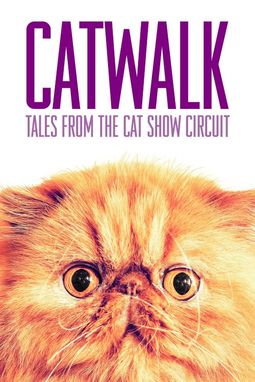 Catwalk: Tales from the Catshow Circuit Catwalk: Tales from the Catshow Circuit