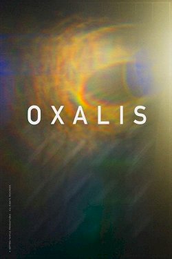 Oxalis Oxalis