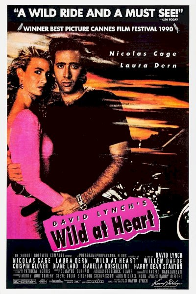Wild at Heart Wild at Heart
