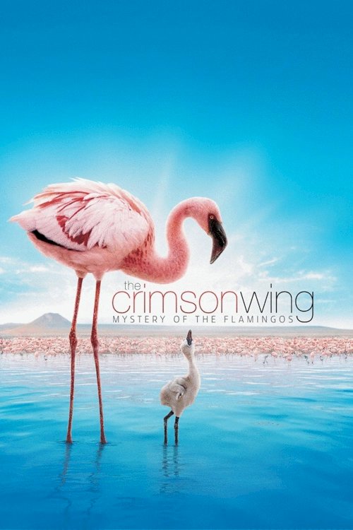 The Crimson Wing: Mystery of the Flamingos The Crimson Wing: Mystery of the Flamingos