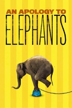 An Apology to Elephants An Apology to Elephants