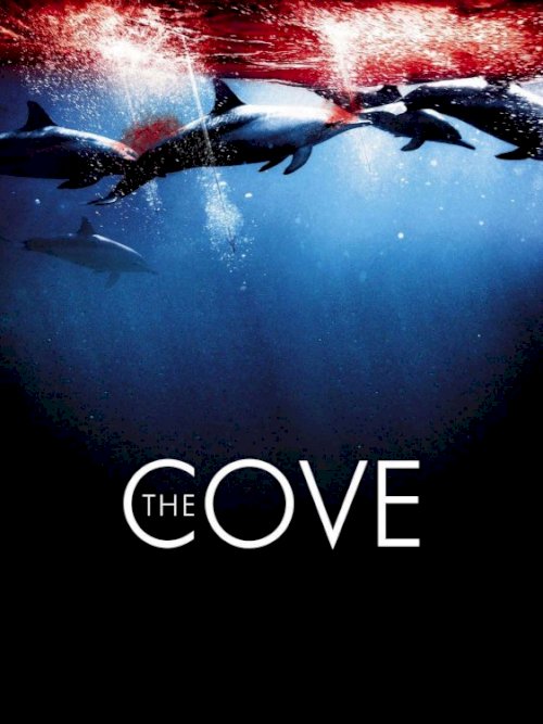 The Cove The Cove