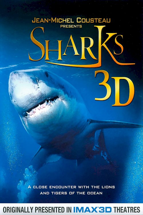 Sharks 3D Sharks 3D