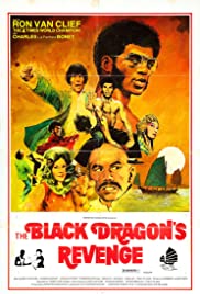 Black Dragon's Revenge