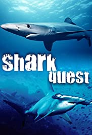 Shark Quest Shark Quest