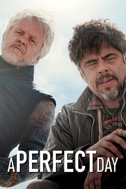A Perfect Day A Perfect Day