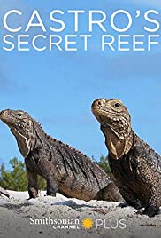 Castro's Secret Reef Castro's Secret Reef
