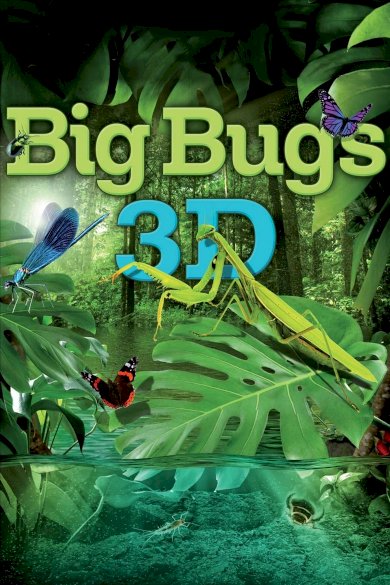 Big Bugs Big Bugs