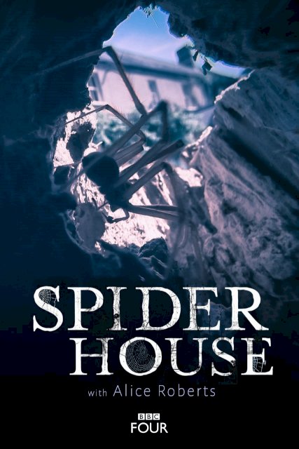 Spider House Spider House