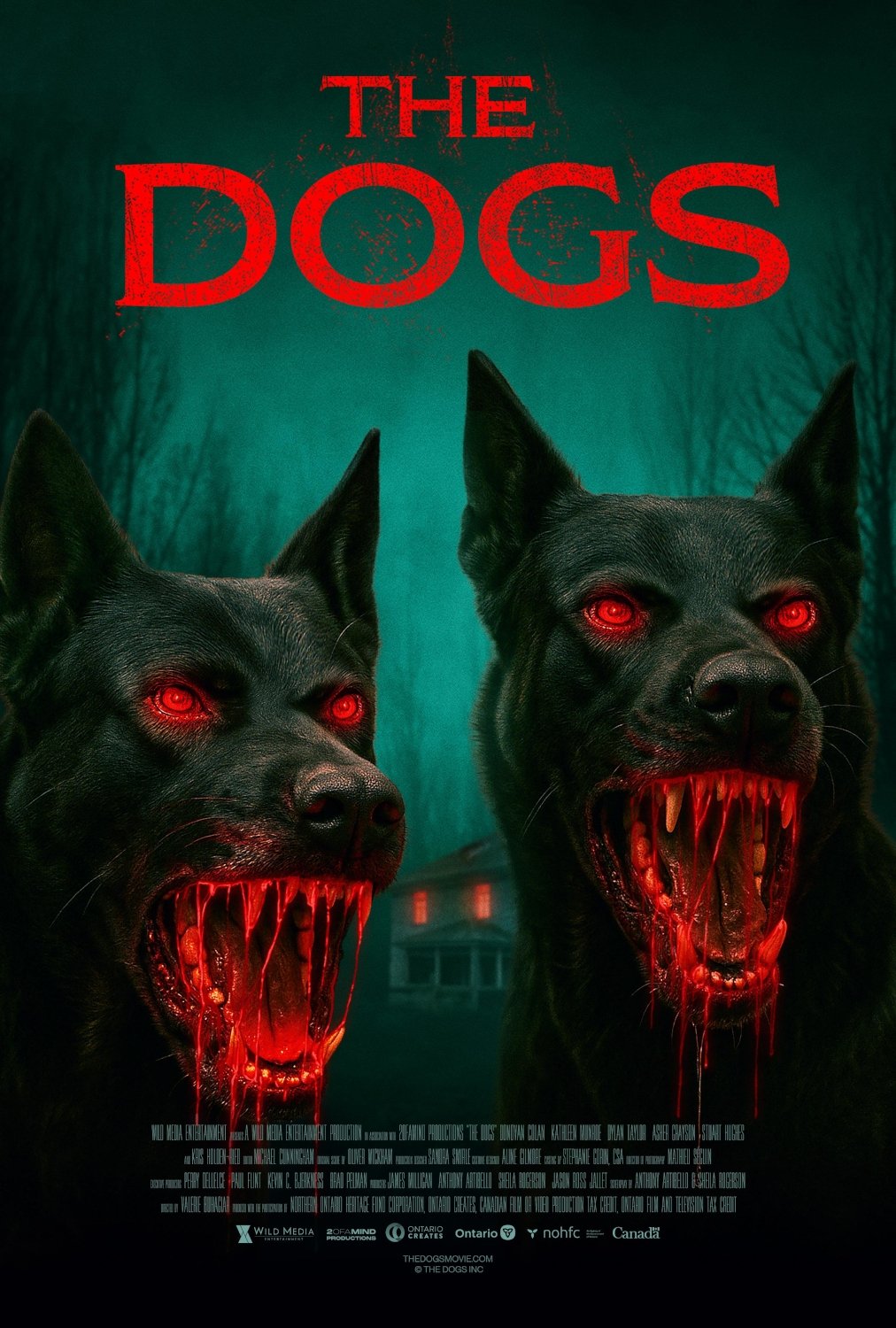 The Dogs The Dogs
