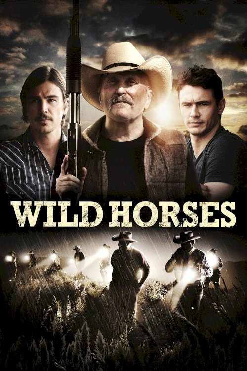 Wild Horses Wild Horses