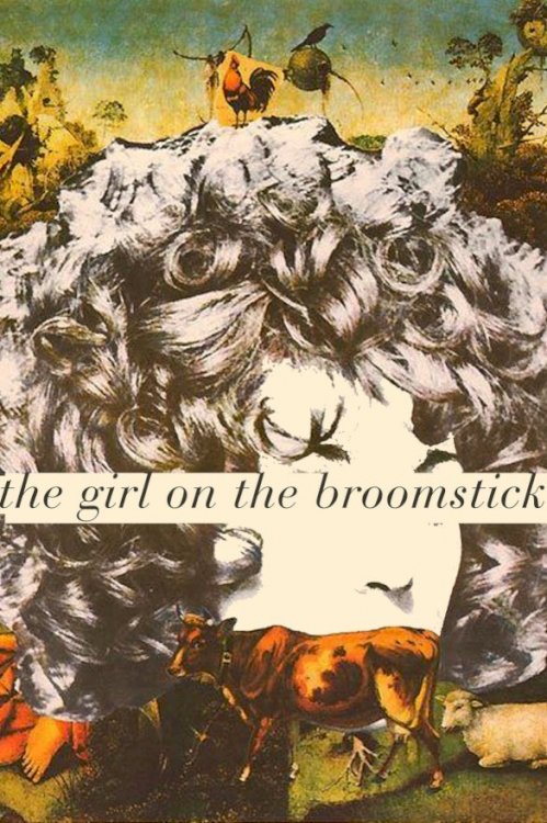 The Girl on the Broomstick The Girl on the Broomstick