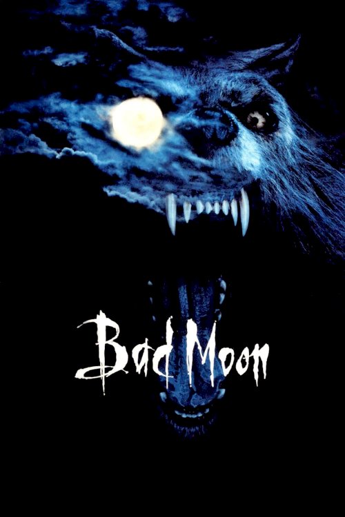 Bad Moon Bad Moon