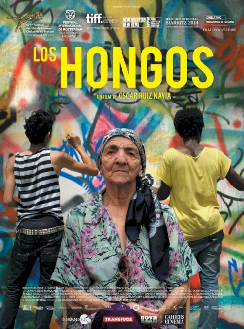 Los hongos Los hongos