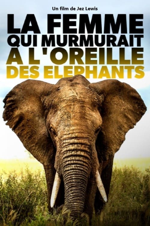Elephant Mother Elephant Mother