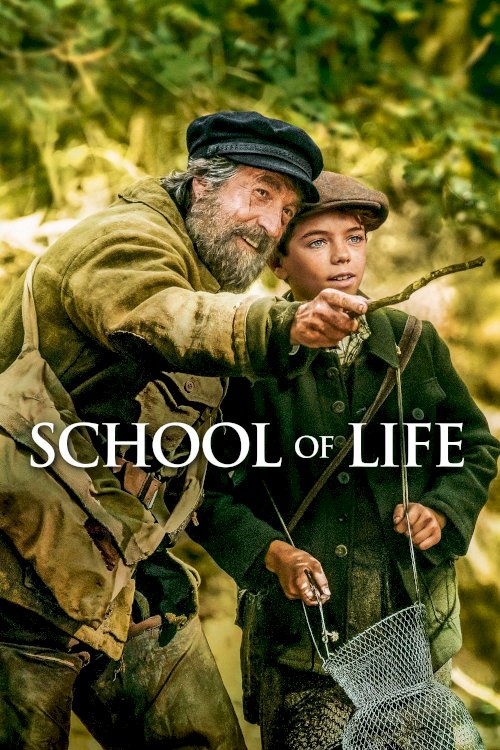 School of Life School of Life