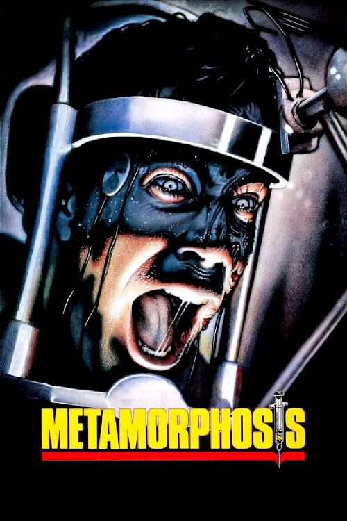 Metamorphosis Metamorphosis