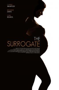 Secret Life Of A Celebrity Surrogate Secret Life Of A Celebrity Surrogate