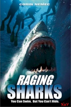 Raging Sharks Raging Sharks