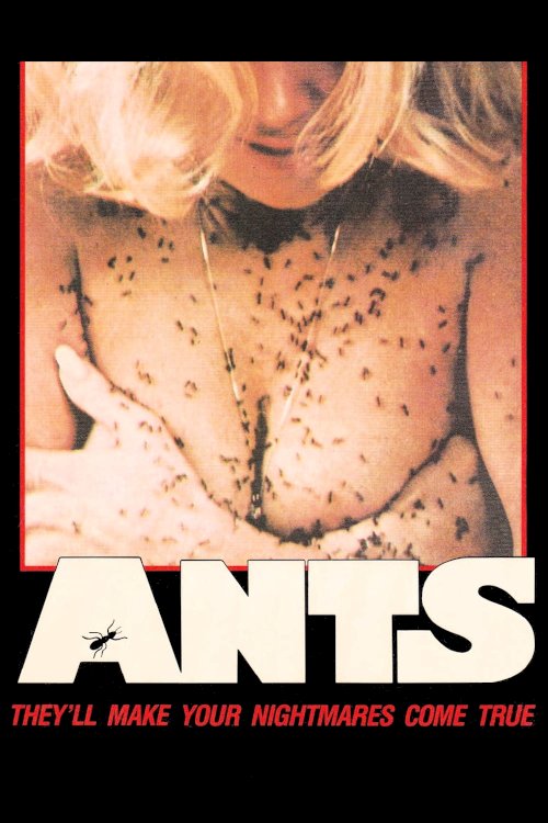 Ants Ants