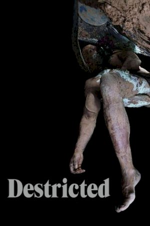 Destricted Destricted