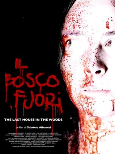 The Last House in the Woods The Last House in the Woods