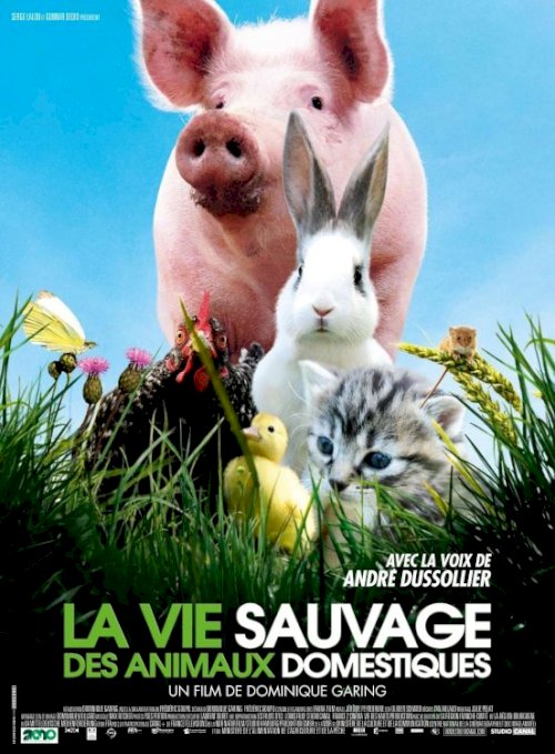 La vie sauvage des animaux domestiques La vie sauvage des animaux domestiques