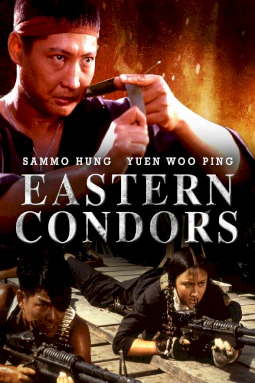 Eastern Condors