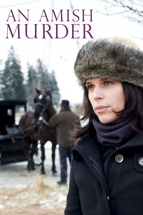 An Amish Murder An Amish Murder