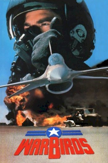 Warbirds Warbirds