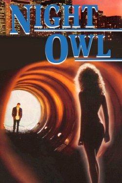 Night Owl Night Owl